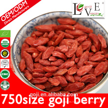 Muestra gratis 750granule / 50g Goji Berry con el mejor precio